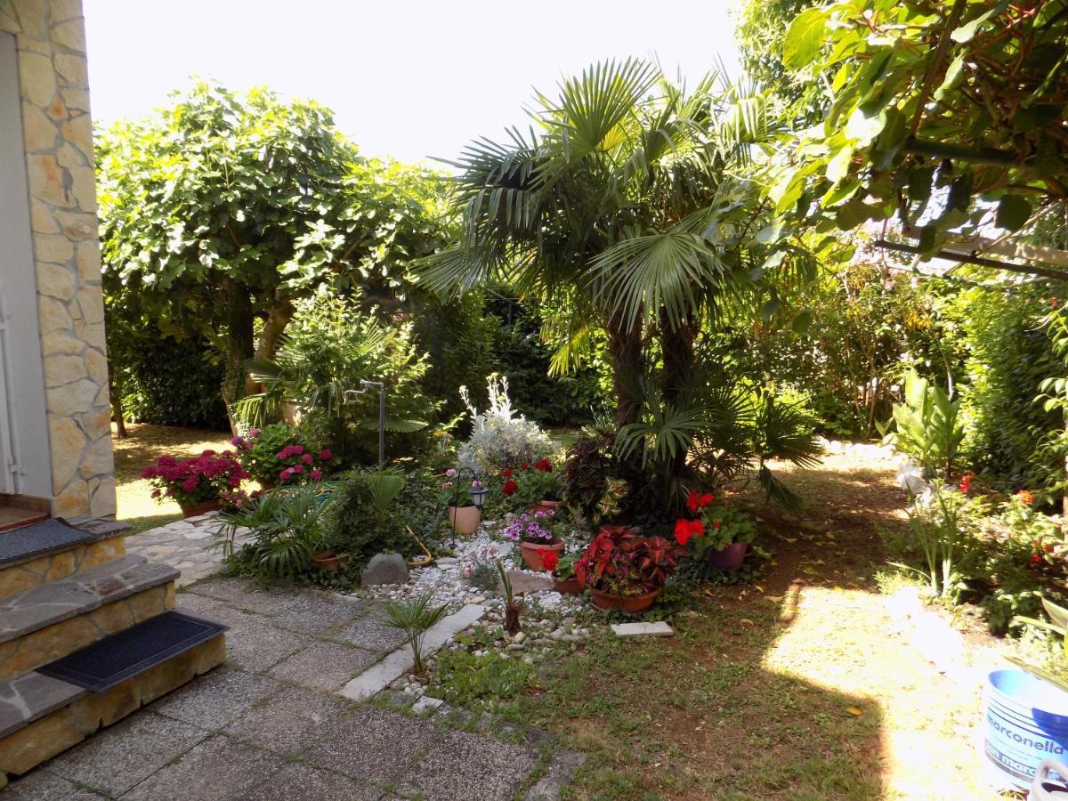 Oriella Apartmans And Room Novigrad  Exterior photo